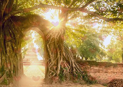 Ustawienia systemowe w polu serca