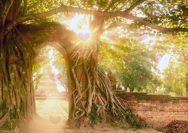 Ustawienia systemowe w polu serca